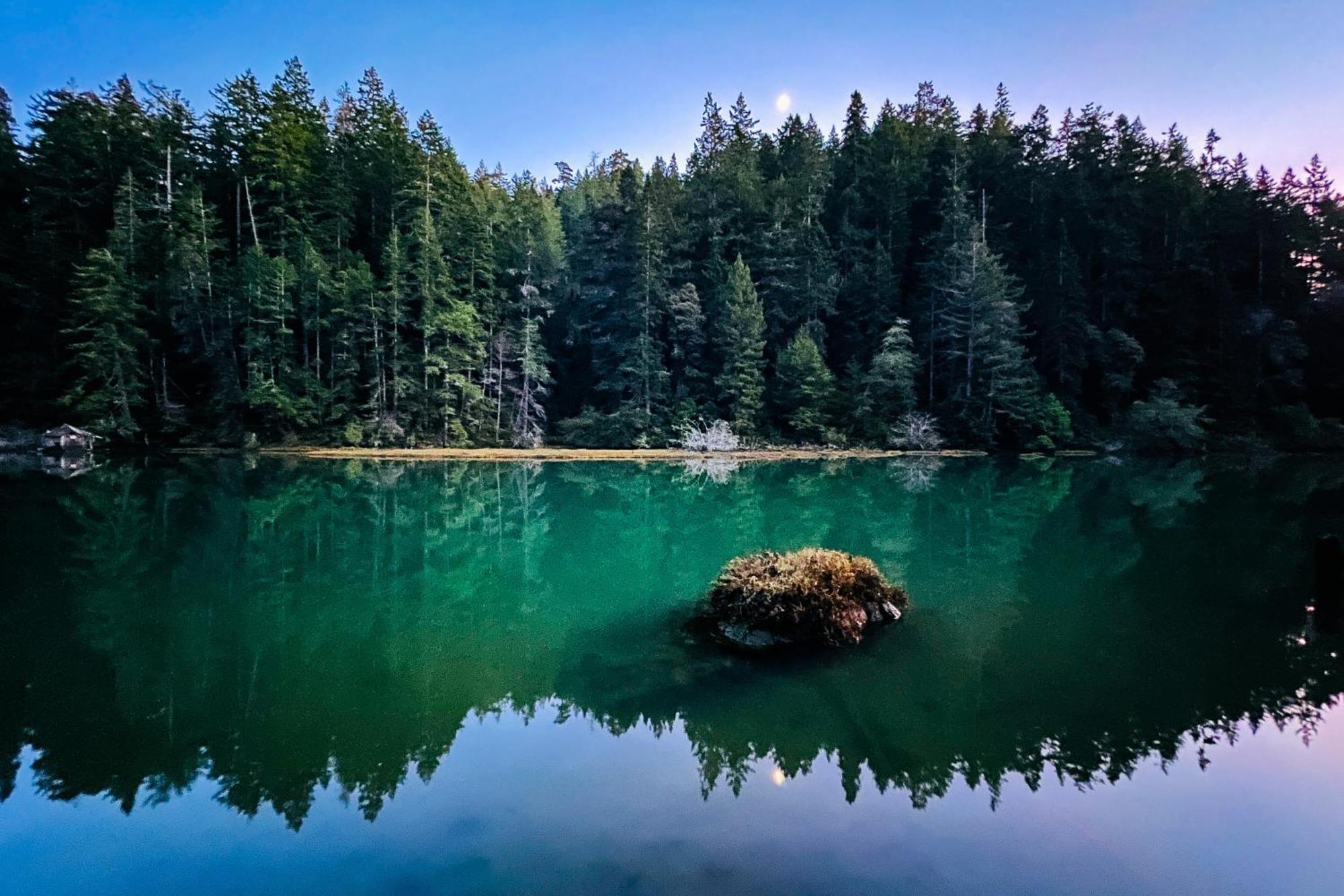 Mendocino Redwood Retreat - Vista Home Albion Экстерьер фото